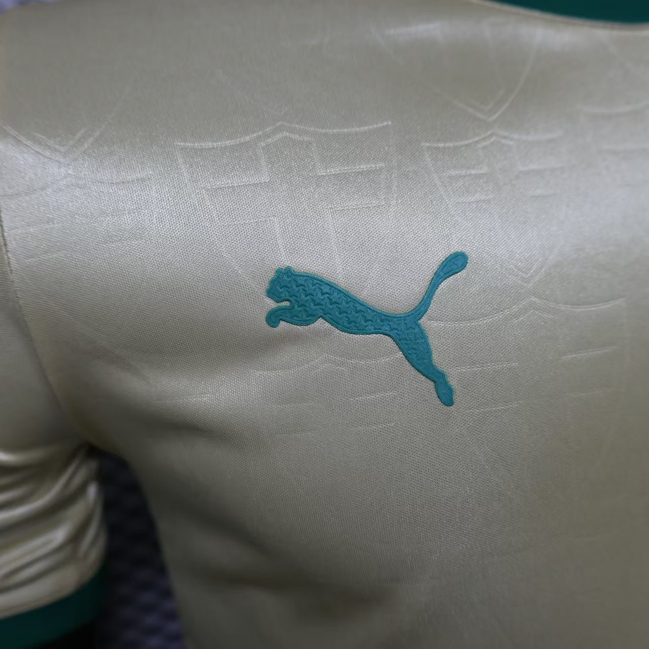 Palmeiras Tercer 24/25 Versión Jugador - Image 4