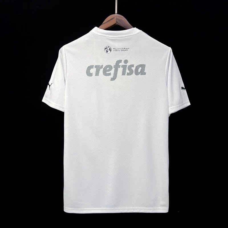 Palmeiras Portero Especial 23/24 Versión Fan - Image 7