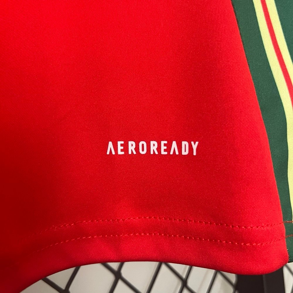 Gales Local 24/25 Versión Fan - Image 5