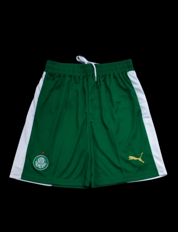 Short + Calcetas Palmeiras 24/25 Visita