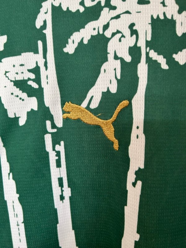 Palmeiras Especial 25/26 Versión Fan - Image 3