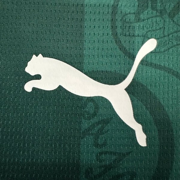 Plymouth Argyle Local 25/26 Versión Fan - Image 3