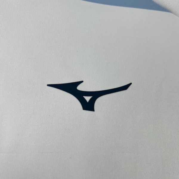 Lazio Aniversario 125th Version Fan - Image 4