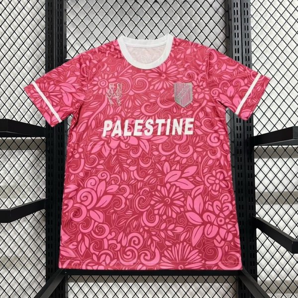 Palestina Especial 25/26 Version Fan